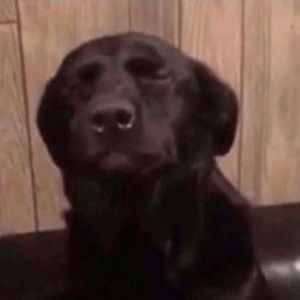 Meet your Posher, Kailey